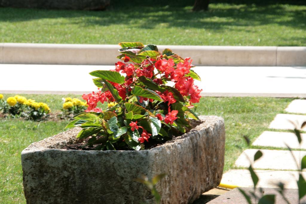 Apartment Maria Porec